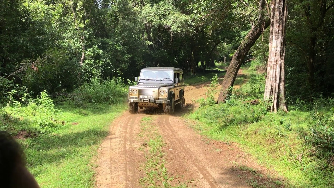 Land Rover Defender Puma 2.4TDI In Action