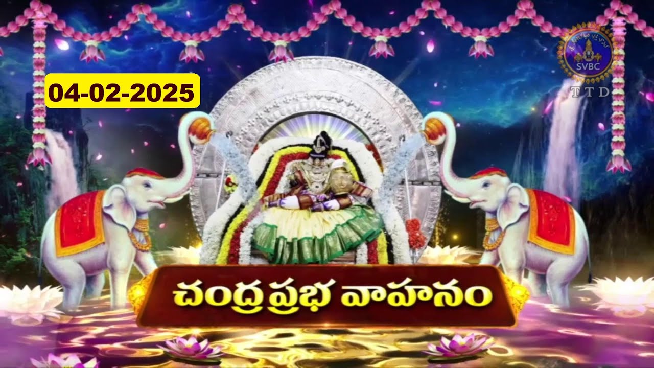 Rathasaptami | Sri Padmavathi Ammavari Chandraprabha Vahanam | Tiruchanoor | 04-02-2025 || SVBC TTD