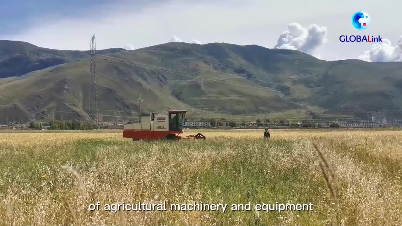 GLOBALink | A grain of highland barley witnesses Tibetan development