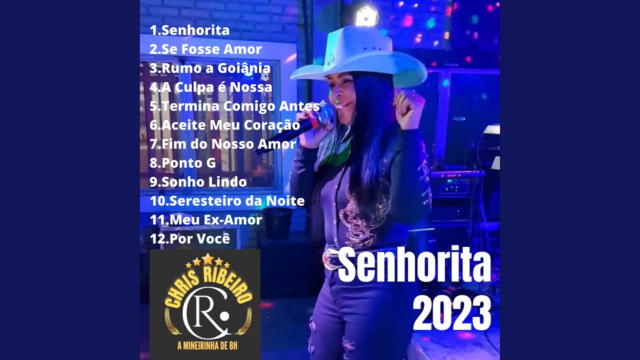 Meu Ex-Amor