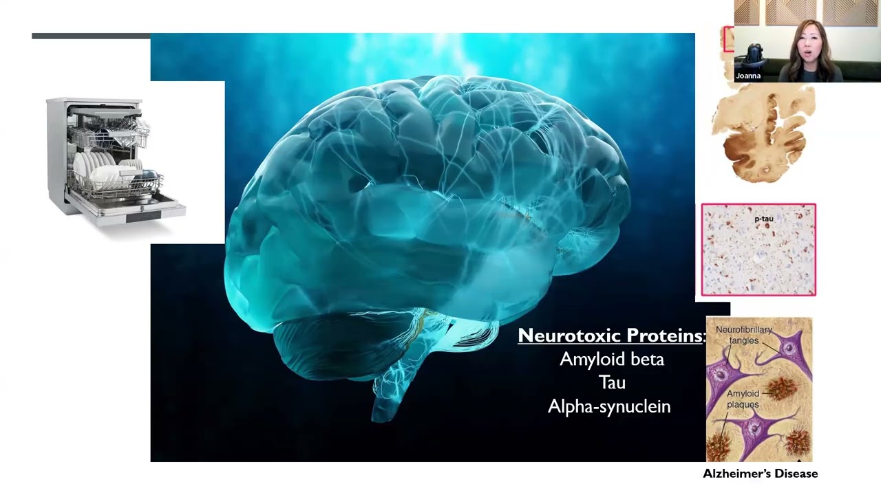The Sleep–Seizure Connection: Why Sleep Matters in Epilepsy