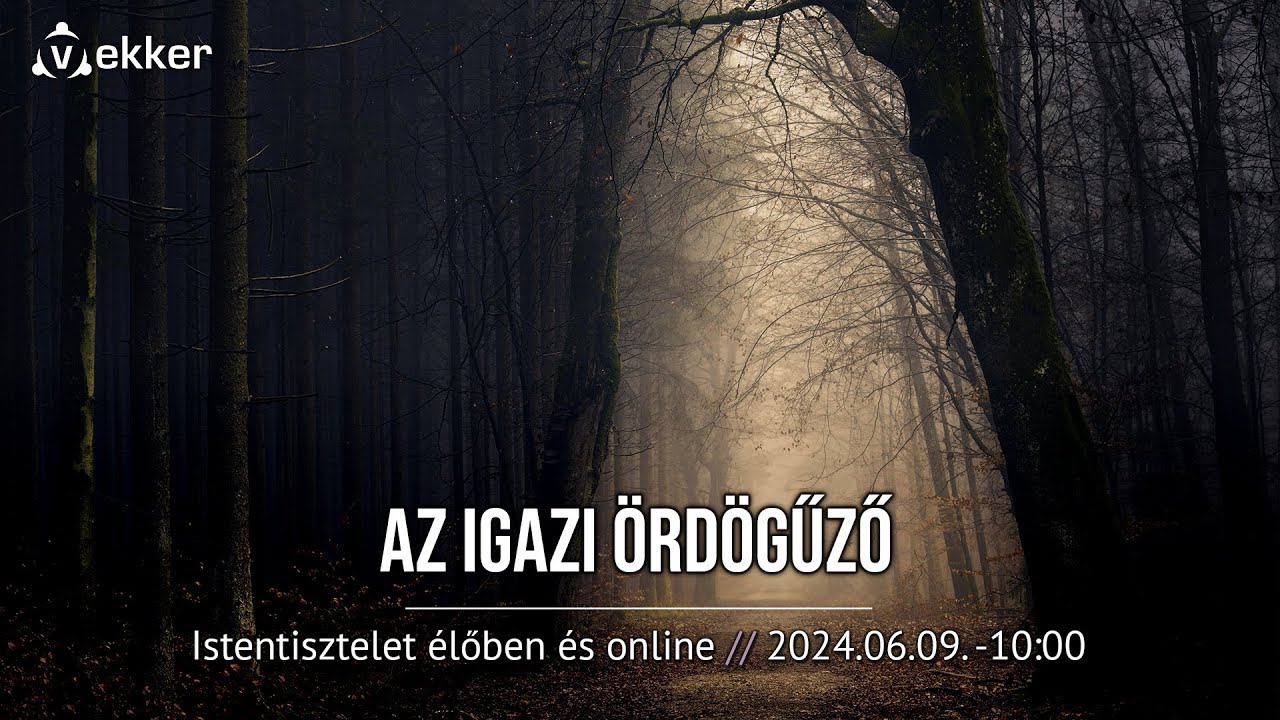 IGAZ TÖRTÉNET A DÉMONI MEGSZÁLLÁSRÓL BIBLIAI ELEMZÉSSEL - Záhonyi Viktor