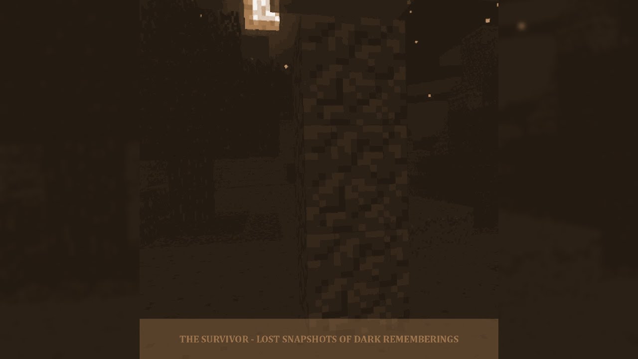 The Survivor - Lost snapshots of dark rememberings