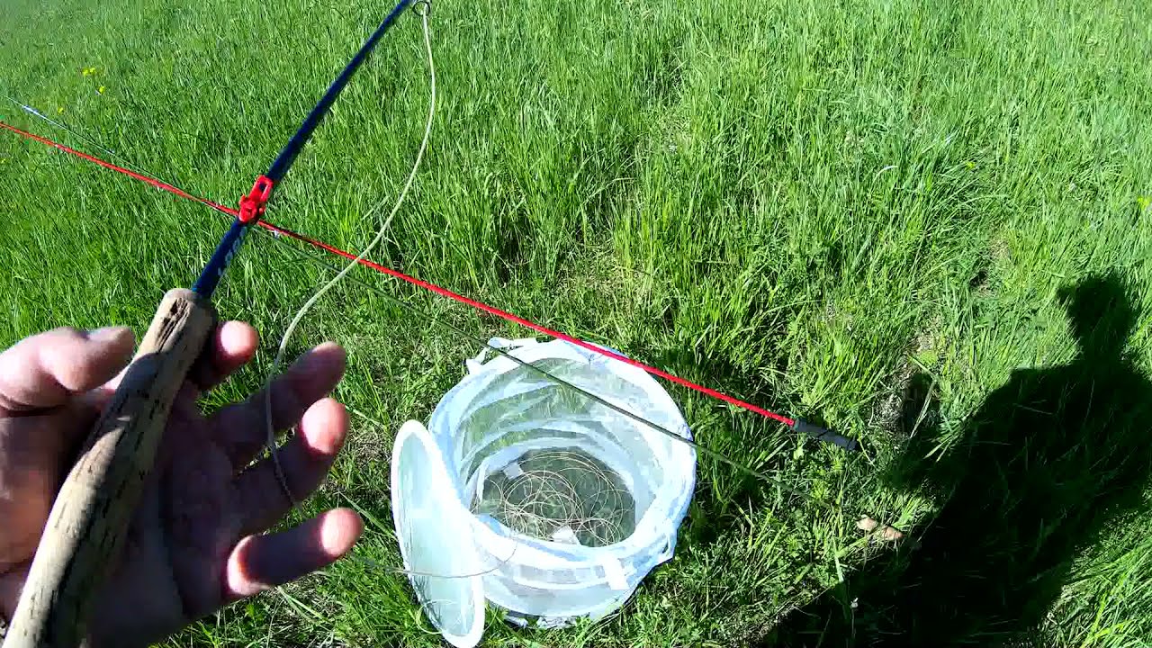 Testissä Loop Marauder Predator #9 vs Vision Big Daddy # 10-11