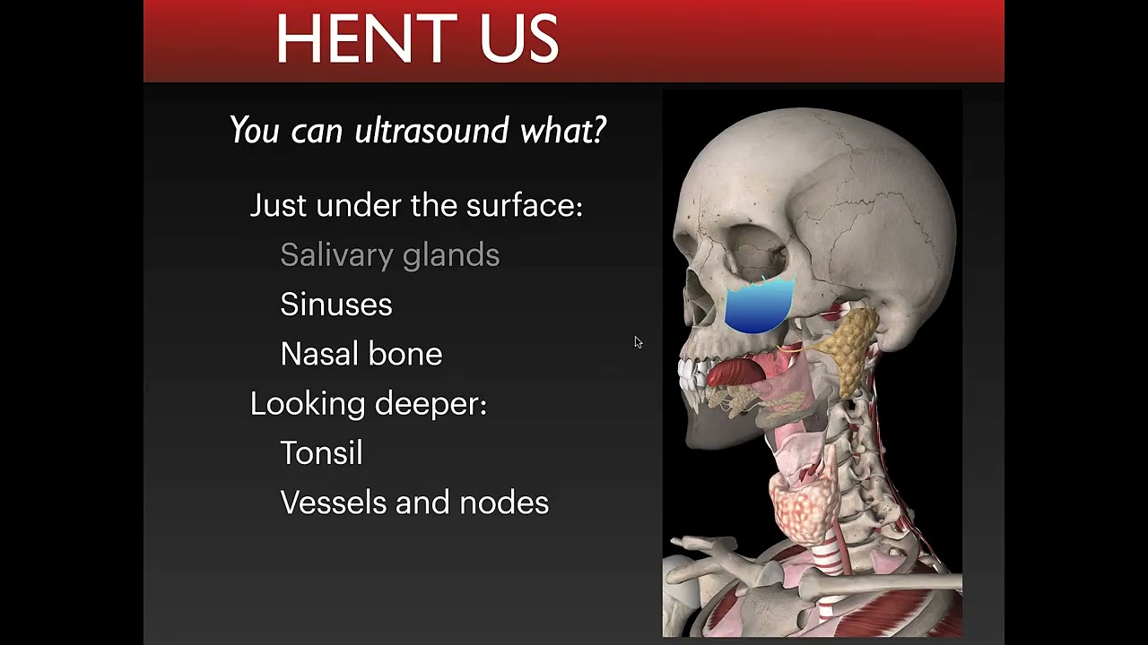 Introduction to Head and Neck POCUS
