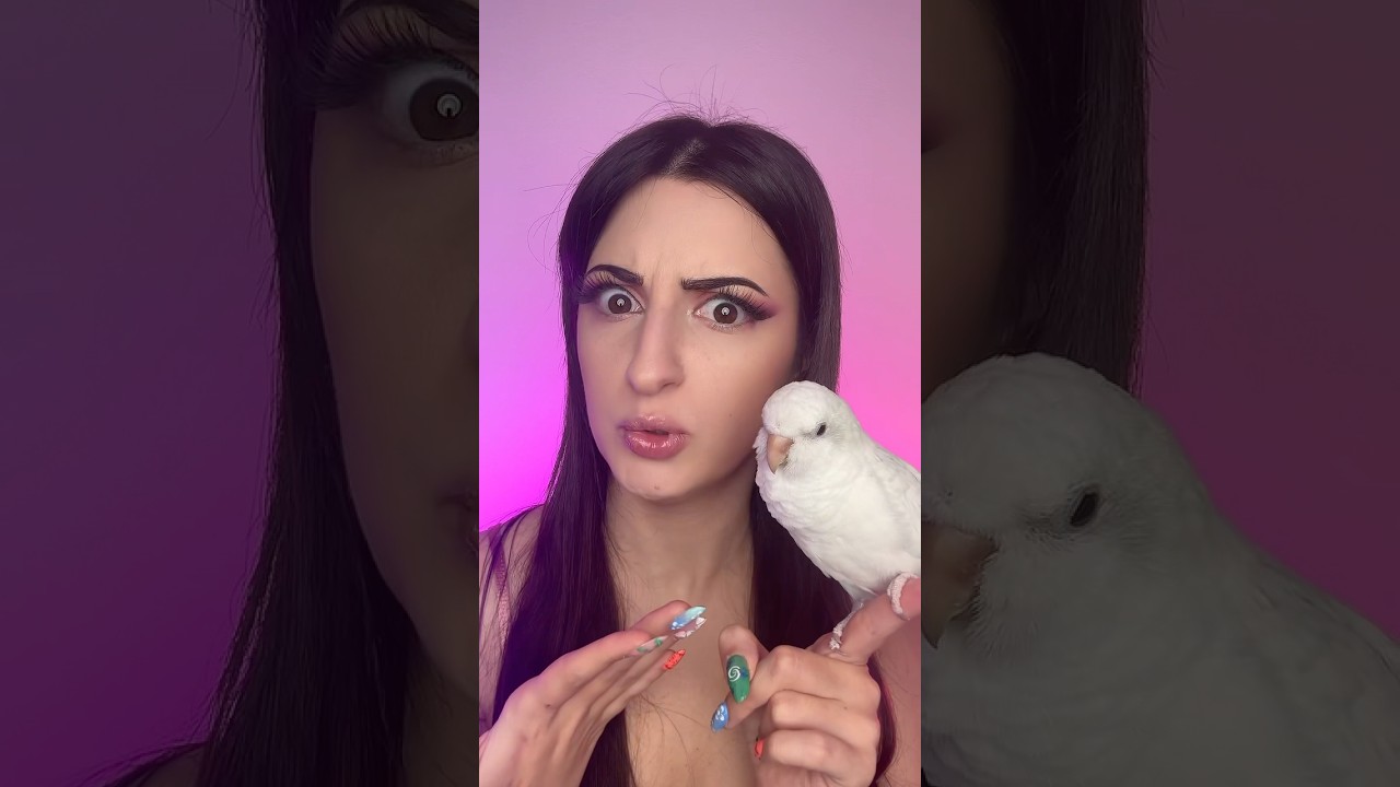 SKY SI CREDE UN ALTRO UCCELLO 🤔