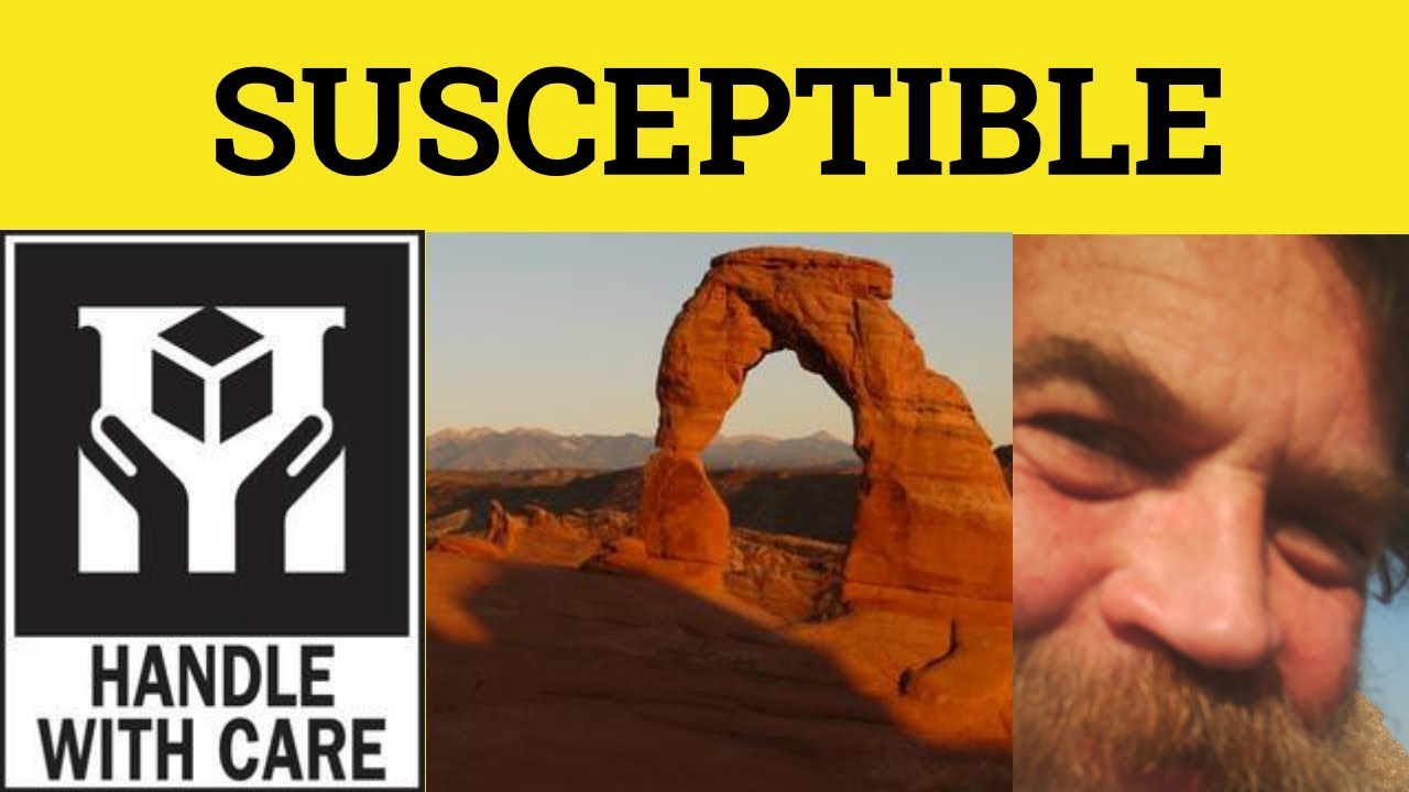 🔵 Susceptible Susceptibility - Susceptible Meaning - Susceptible Examples
