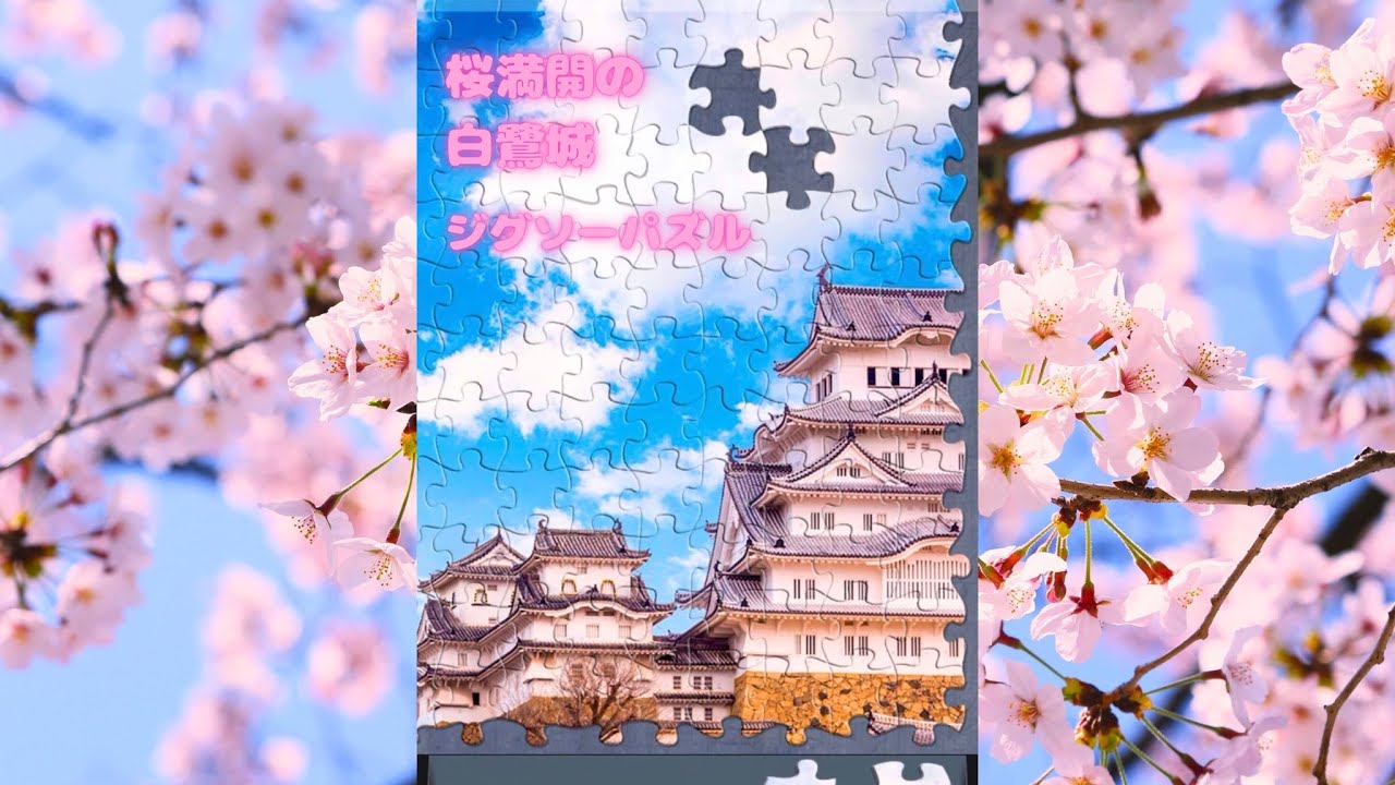 咲き誇る満開の桜と姫路城　ジグソーパズル630ピース