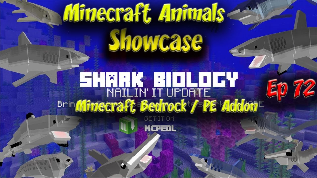 Shark Biology Addon Nailin it Update Animal Showcase 4k 60fps Minecraft PE BE Animals Ep72 Megladon
