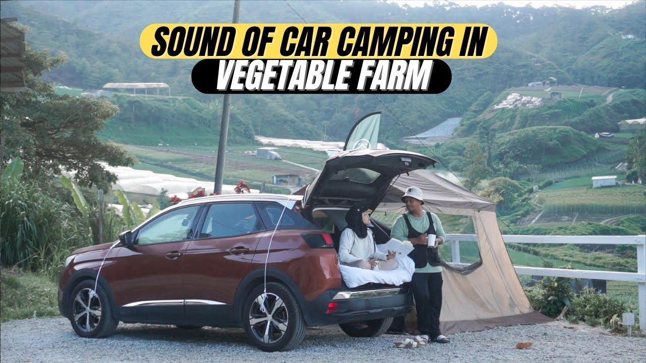 CAR CAMPING di Ladang Sayur Cameron Highland | Healing Habis | Zakka Campsite