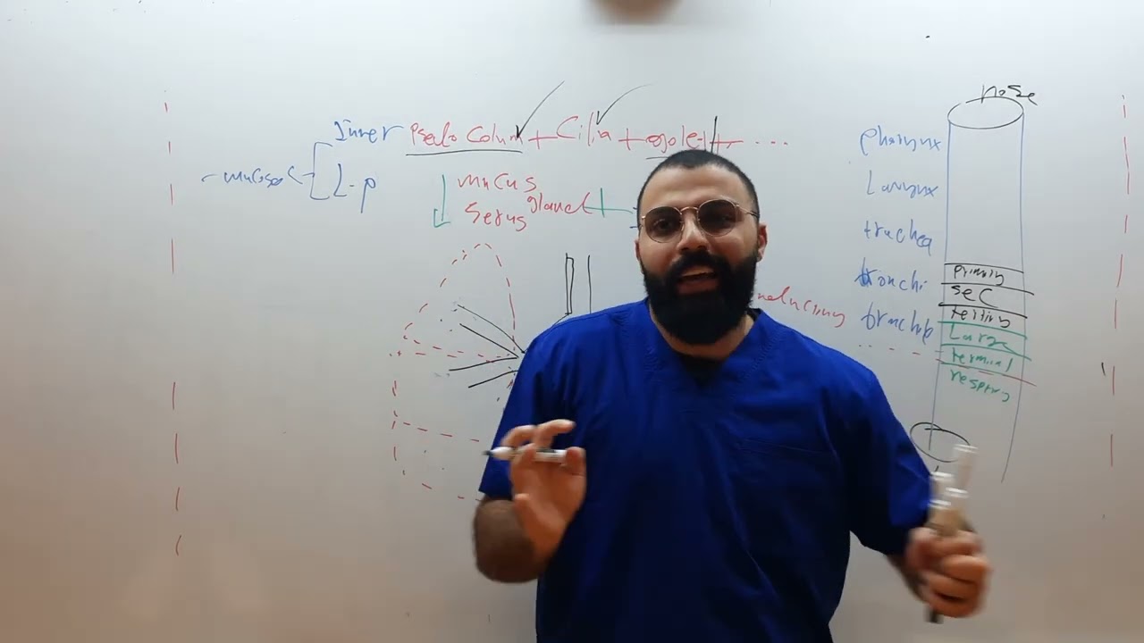 histology of respiratory system | conducting and respiratory zone | part 2