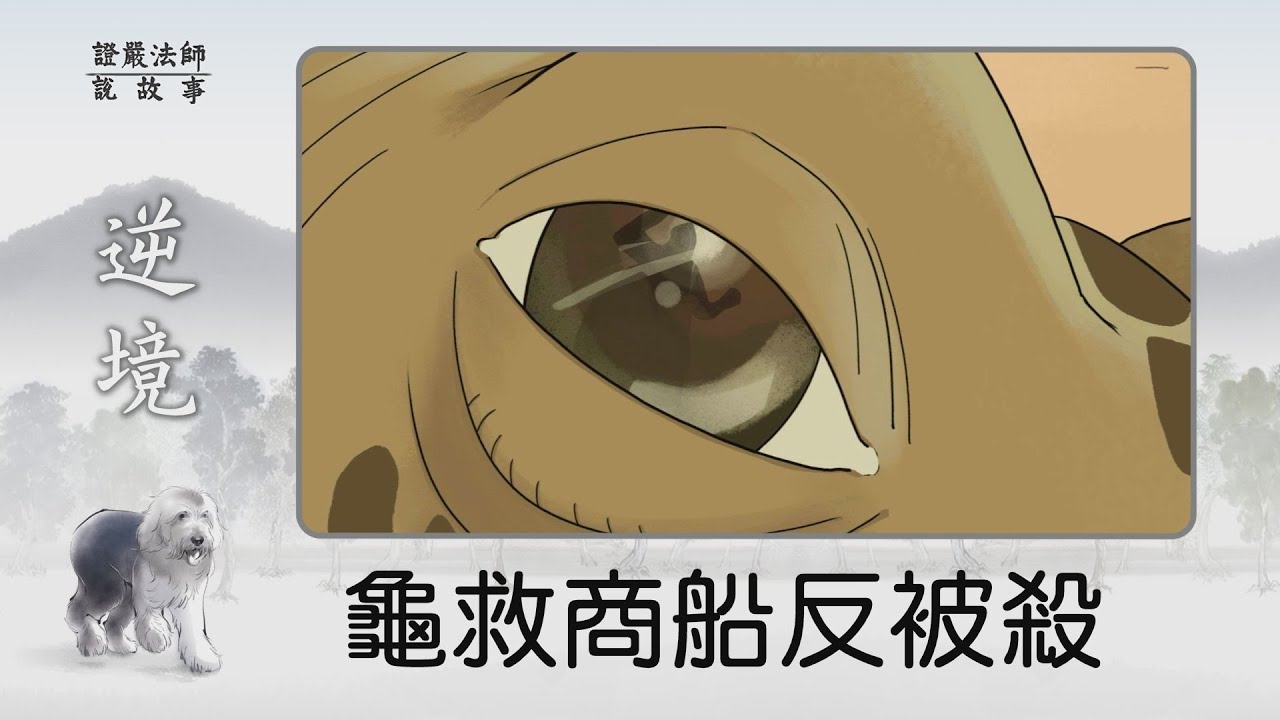 【證嚴法師說故事】 龜救商船反被殺~忘恩負義的後果為何？- 20221204