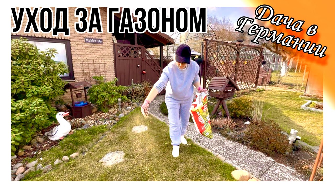 Способ скрещивание черешни / Пришлось сверлить / Что из Этого Получится / Дачный Влог 