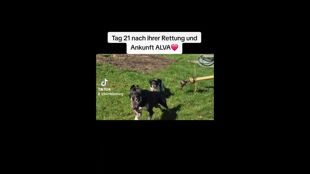 My best friend ❤️🙏🏻 