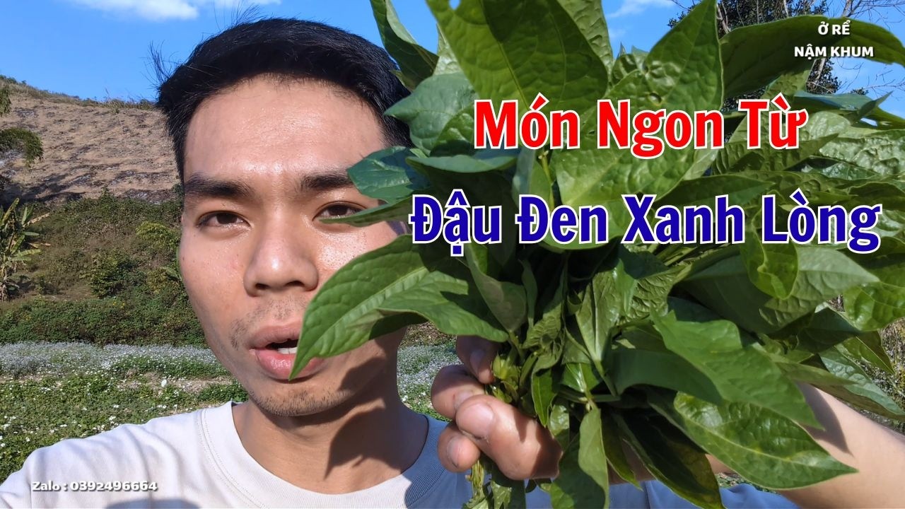 Вкусные блюда из черной фасоли с зеленым сердцевином || Нам Кхум