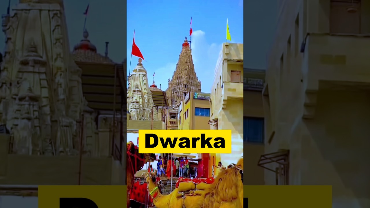 Dwarka Tour Plan 🙏 #dwarka #dwarkadhish #nageshwar #minivlog #dwarkatour #gujarat #short #shorts