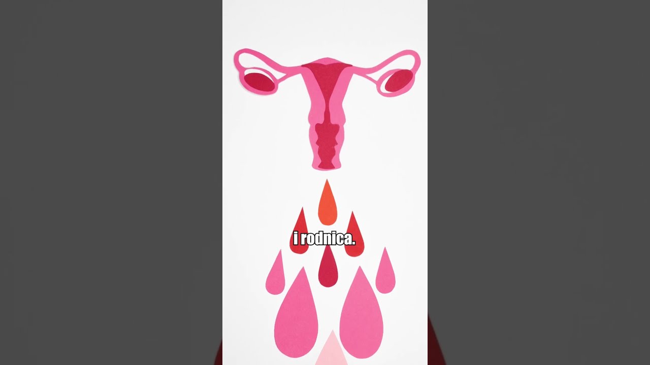 &Scaron;to je menstruacija?