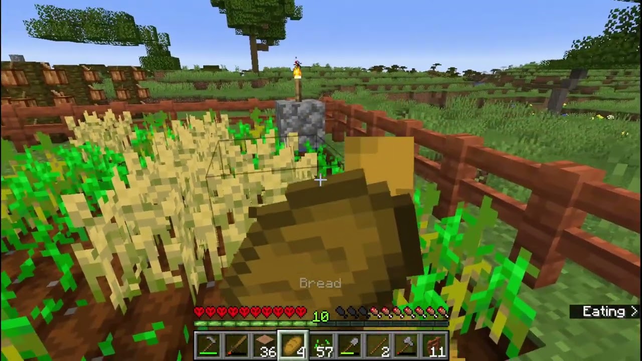 Minecraft Hardcore Ep 13