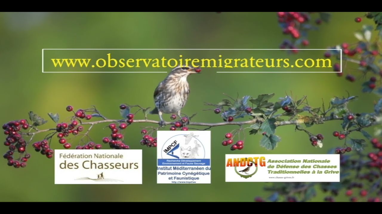 modifier fiche observatoire