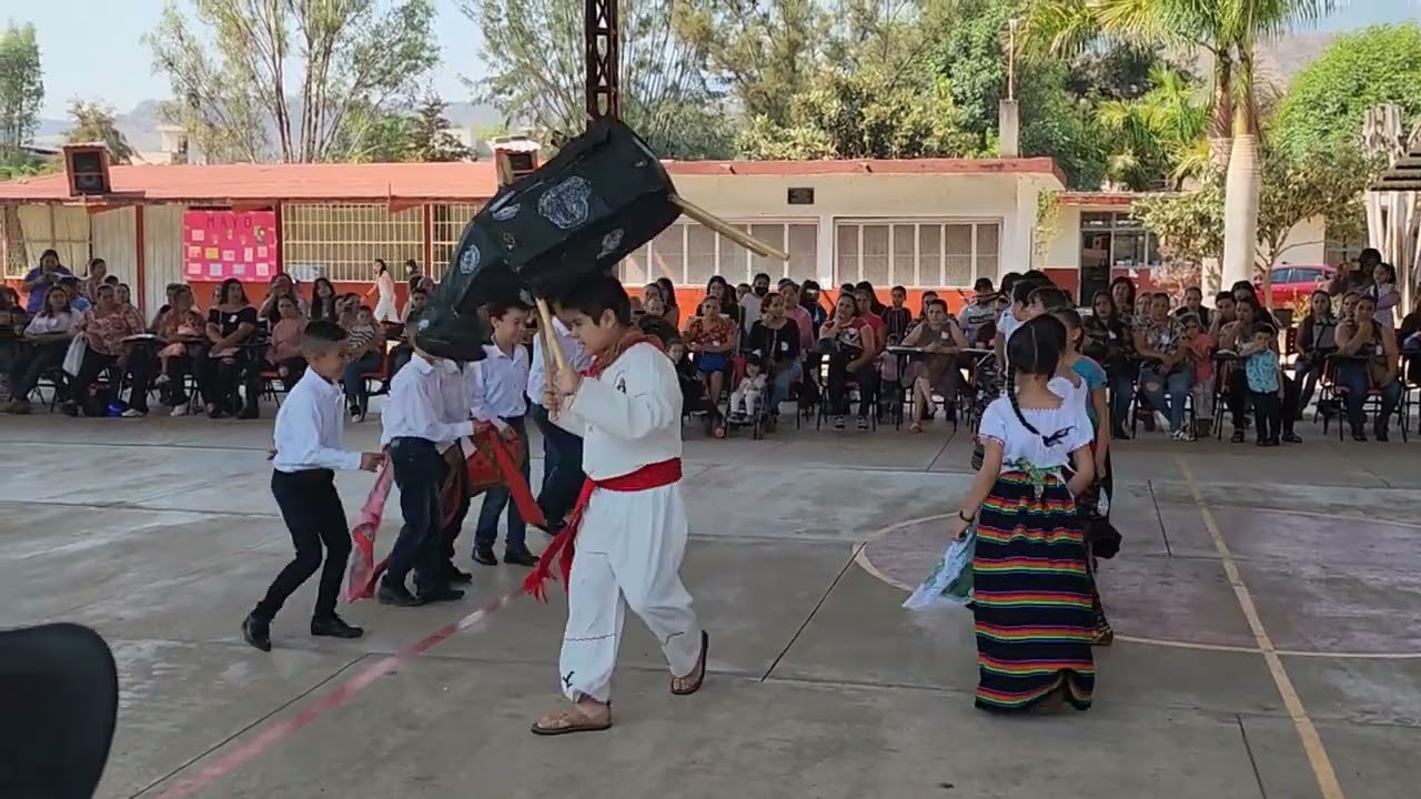 EL TORO PINTO COLA ENROSCADA