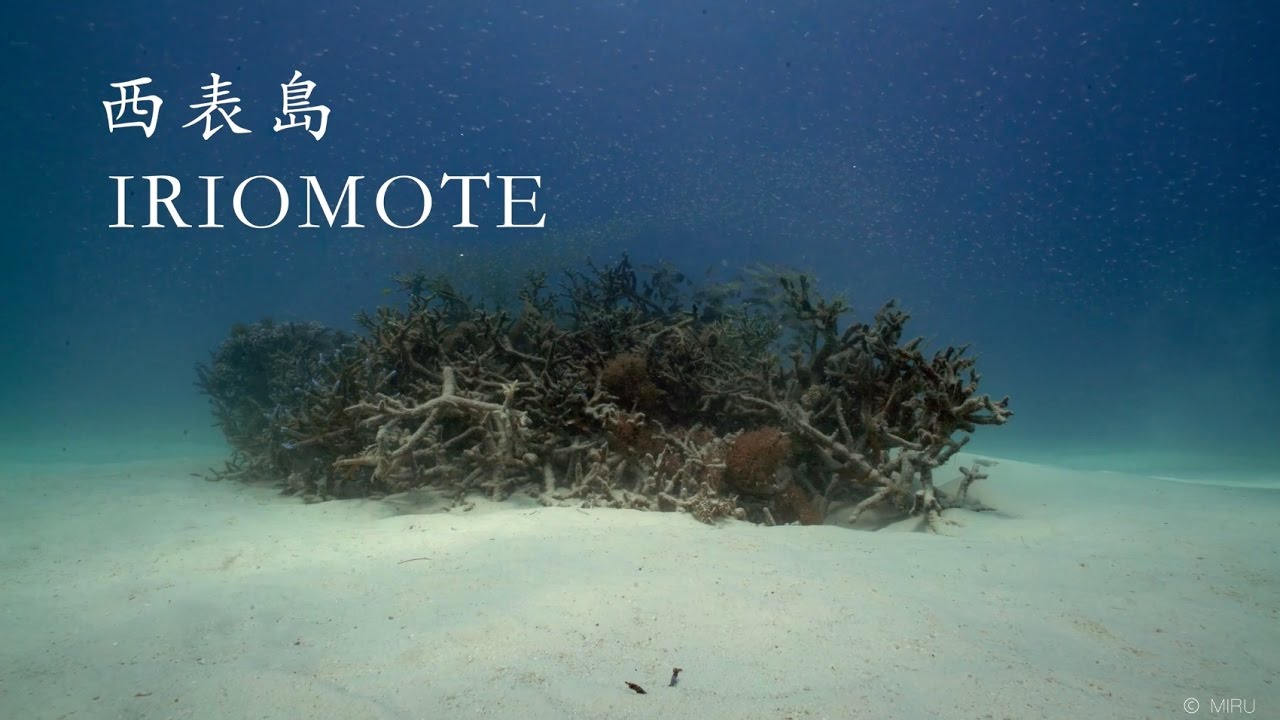 [4K, Sony A7SII] Underwater | Iriomote, Okinawa, Japan