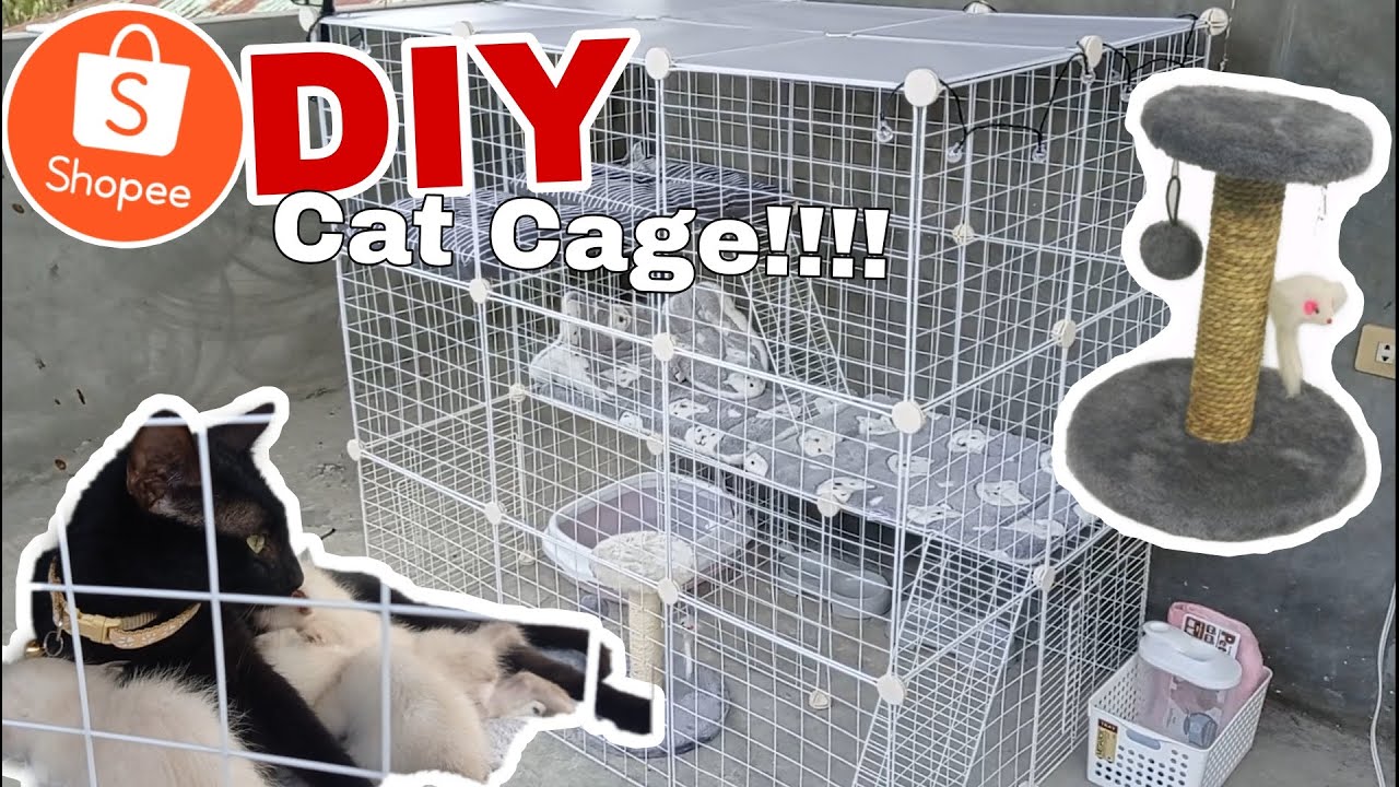 DIY CAT CAGE!! With shopee link!