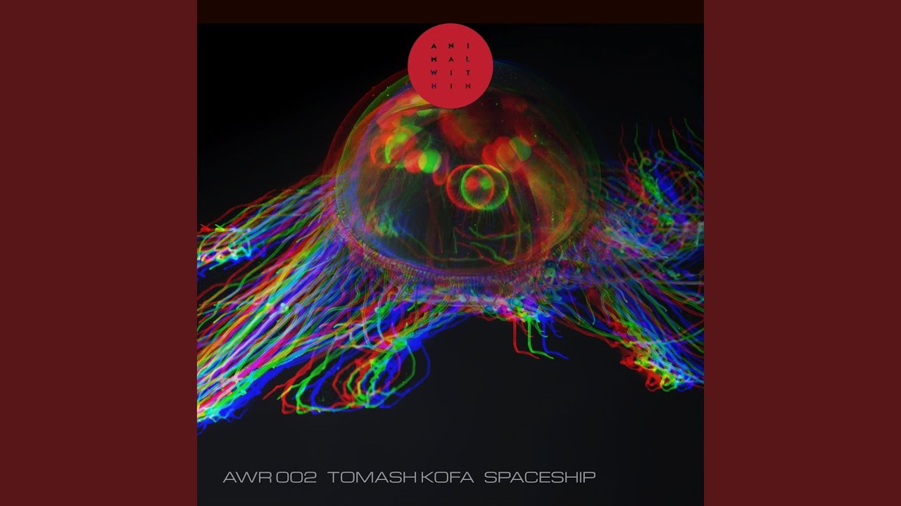 Spaceship