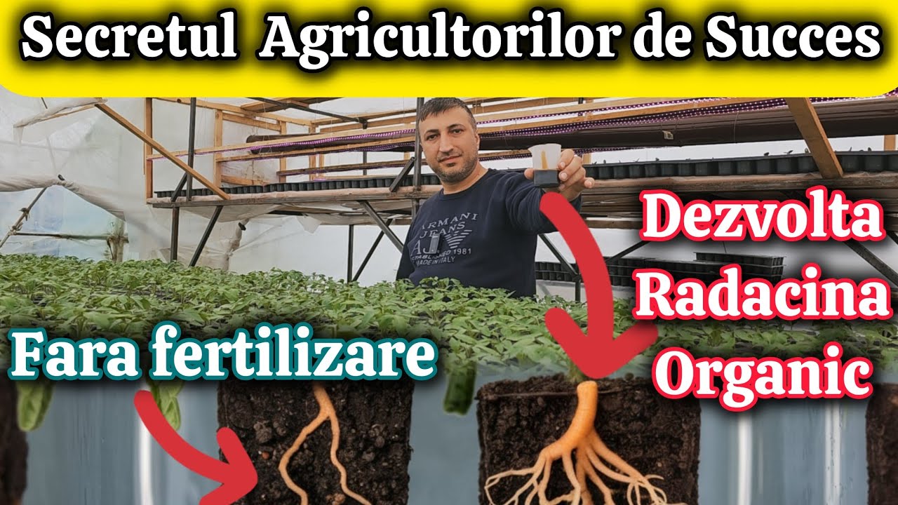 Tratamentul Bio care Îți Face Rasadul Să Crească ca un Nebun ! 🌱