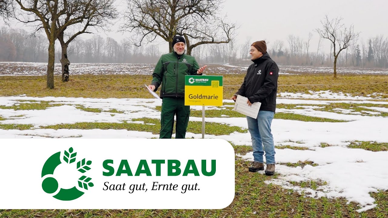 Bestandesführung Wintergerste 2026
