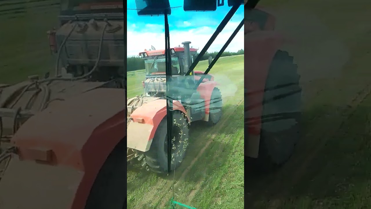 силосование 2023