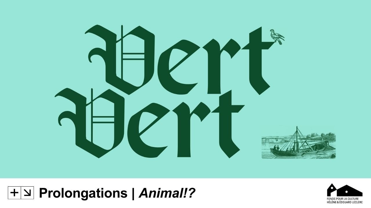 PROLONGATIONS : « Vert Vert » création vidéo d'Angélique Buisson | Exposition 