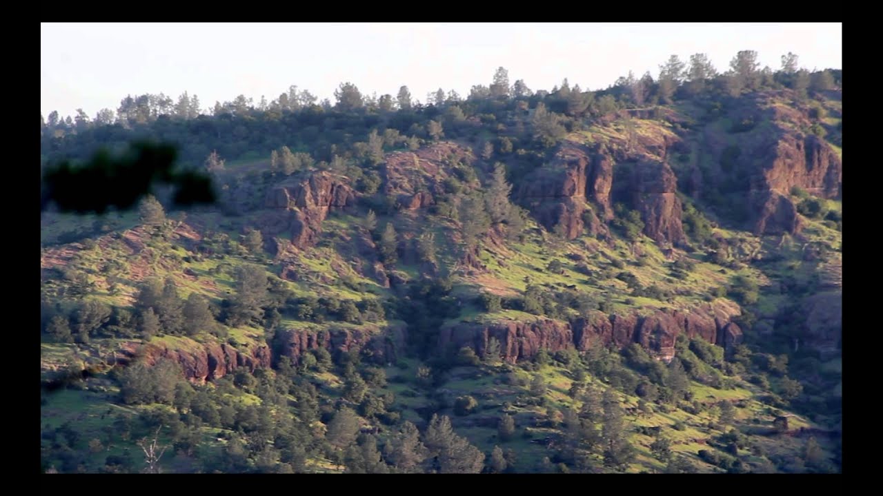Peregrine Point
