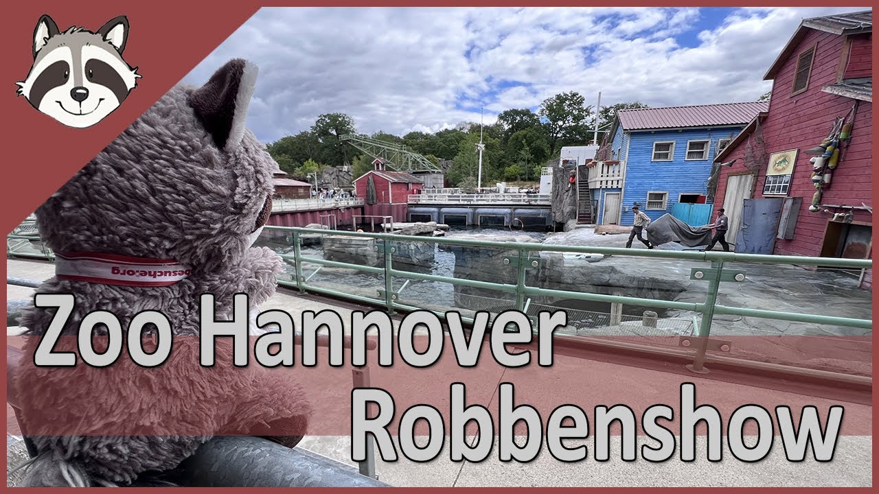 Zoo Hannover - Yukon Bay - Robbenshow
