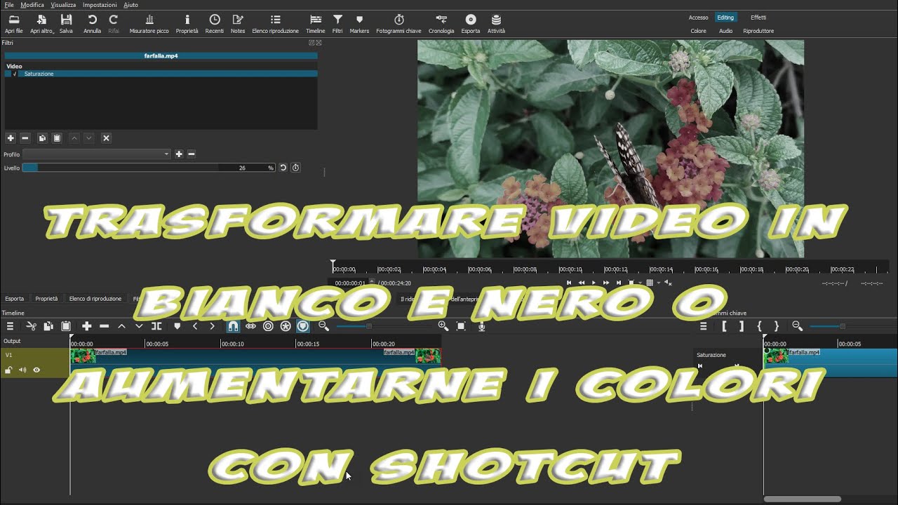 Come trasformare progressivamente parti di video in bianco e nero o aumentarne il colore con Shotcut