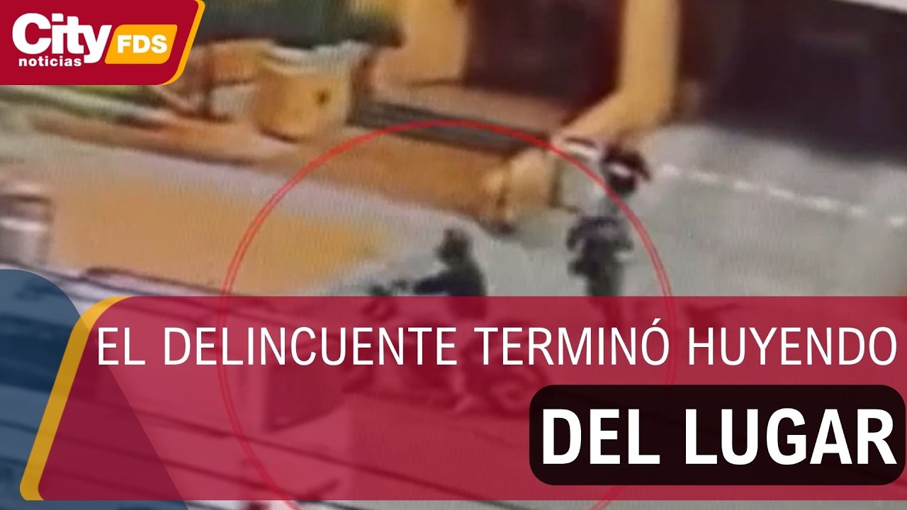 Dos perros evitaron violento robo a su dueño en Colina Campestre | CityTv