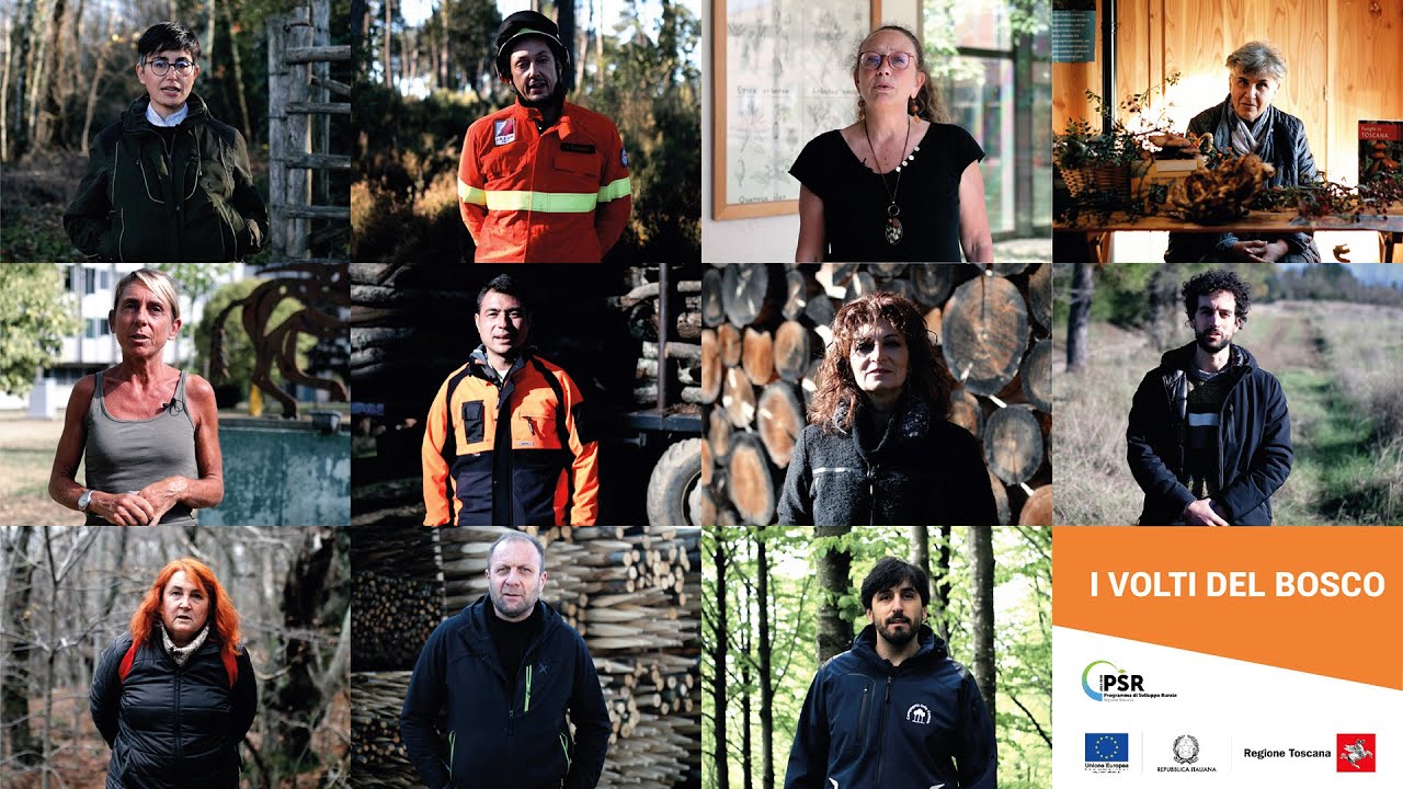 I volti del bosco