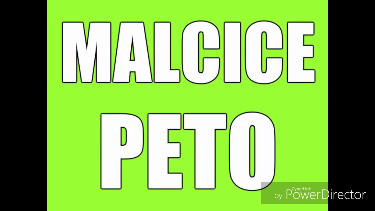 Gipsy Peťo Malčice   &Scaron;uhaju &Scaron;uhaju 2016