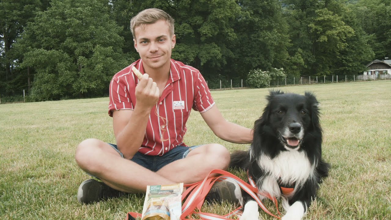 Rückruftraining mit Lukas Pratschker