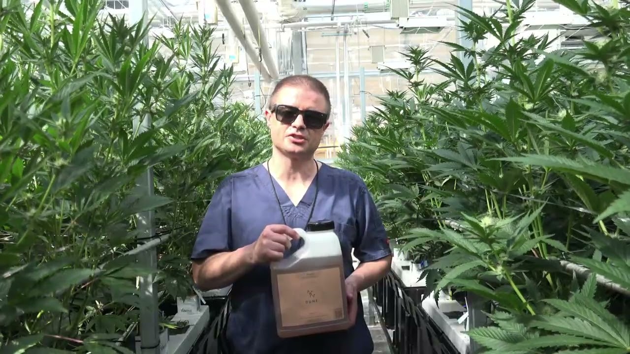 Dune&trade; Monosilicic Acid Promotes Vigorous Plant Growth