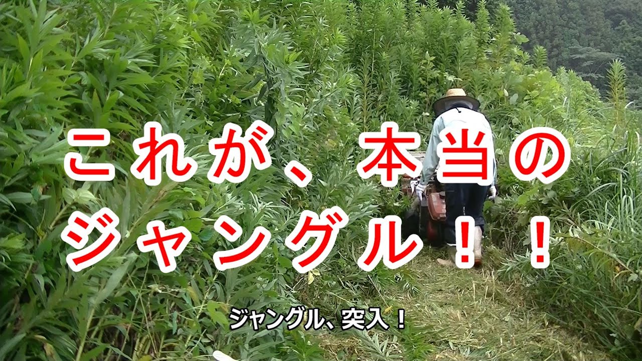 ハンマーナイフ刃の交換後の草刈1日目2020年8月8日
