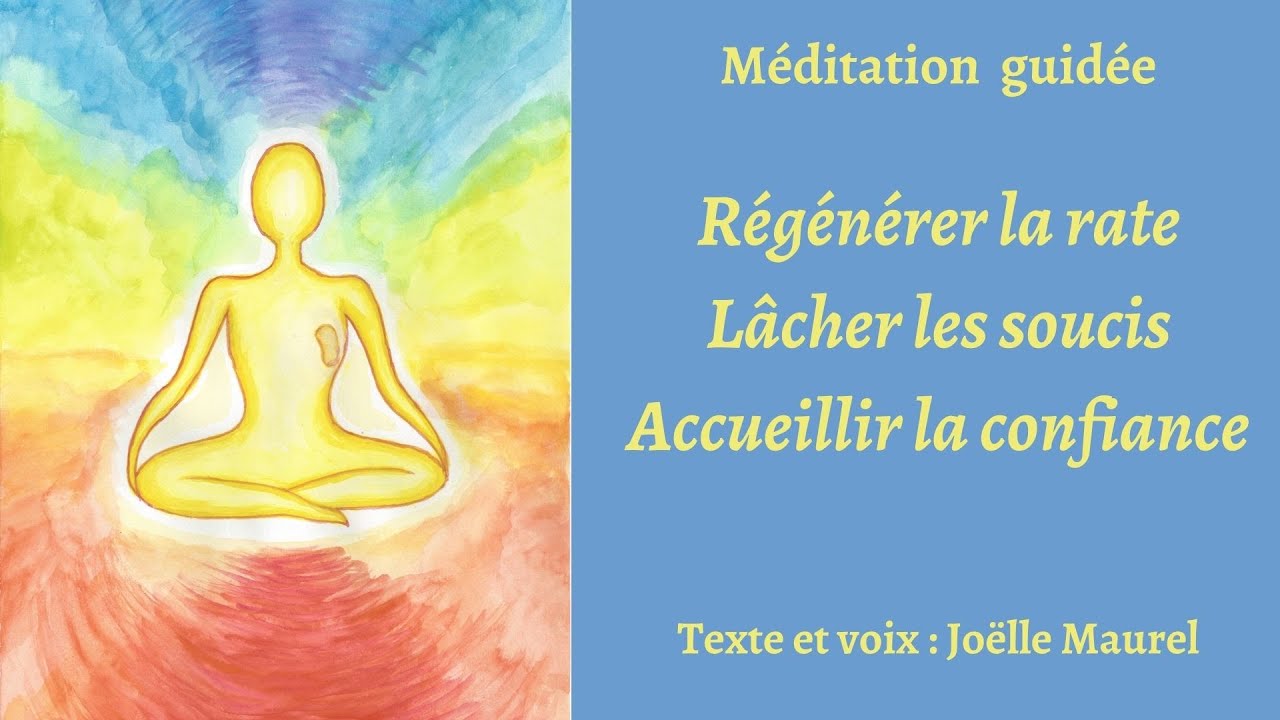 Régénérer la rate, Lâcher les soucis, accueillir la confiance