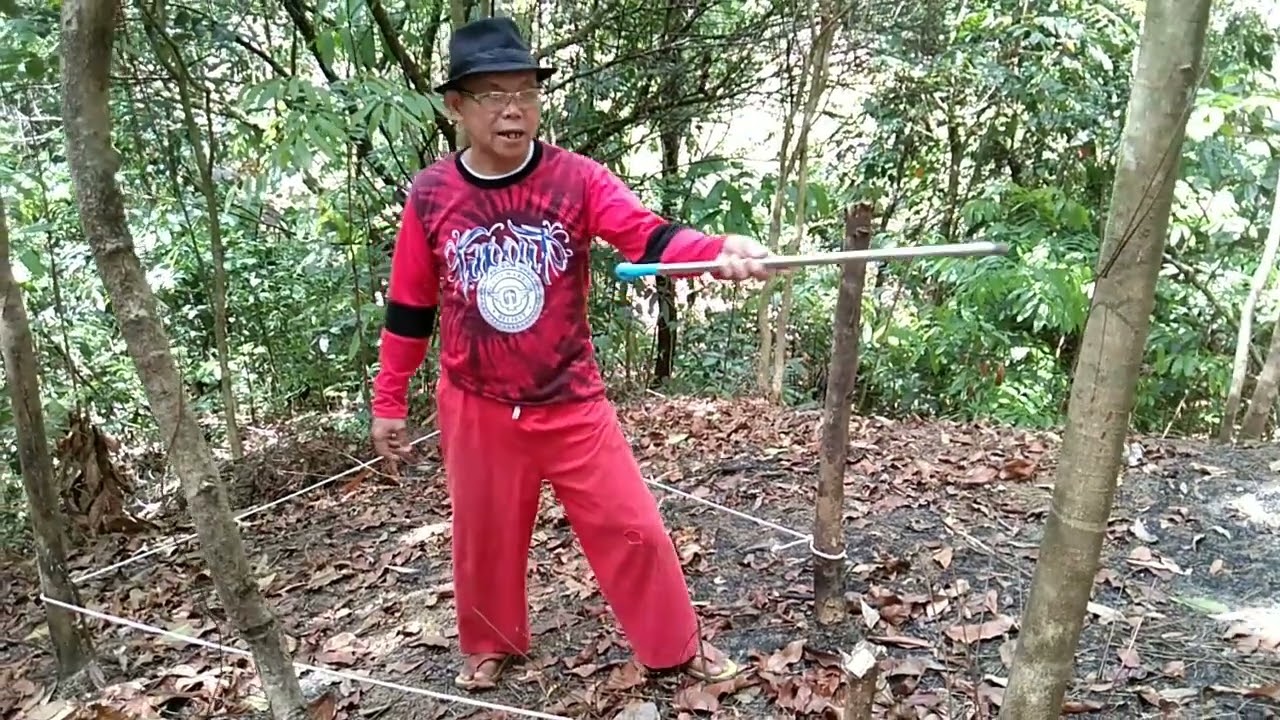TRAINING METHOD IN ARNIS DE MANO