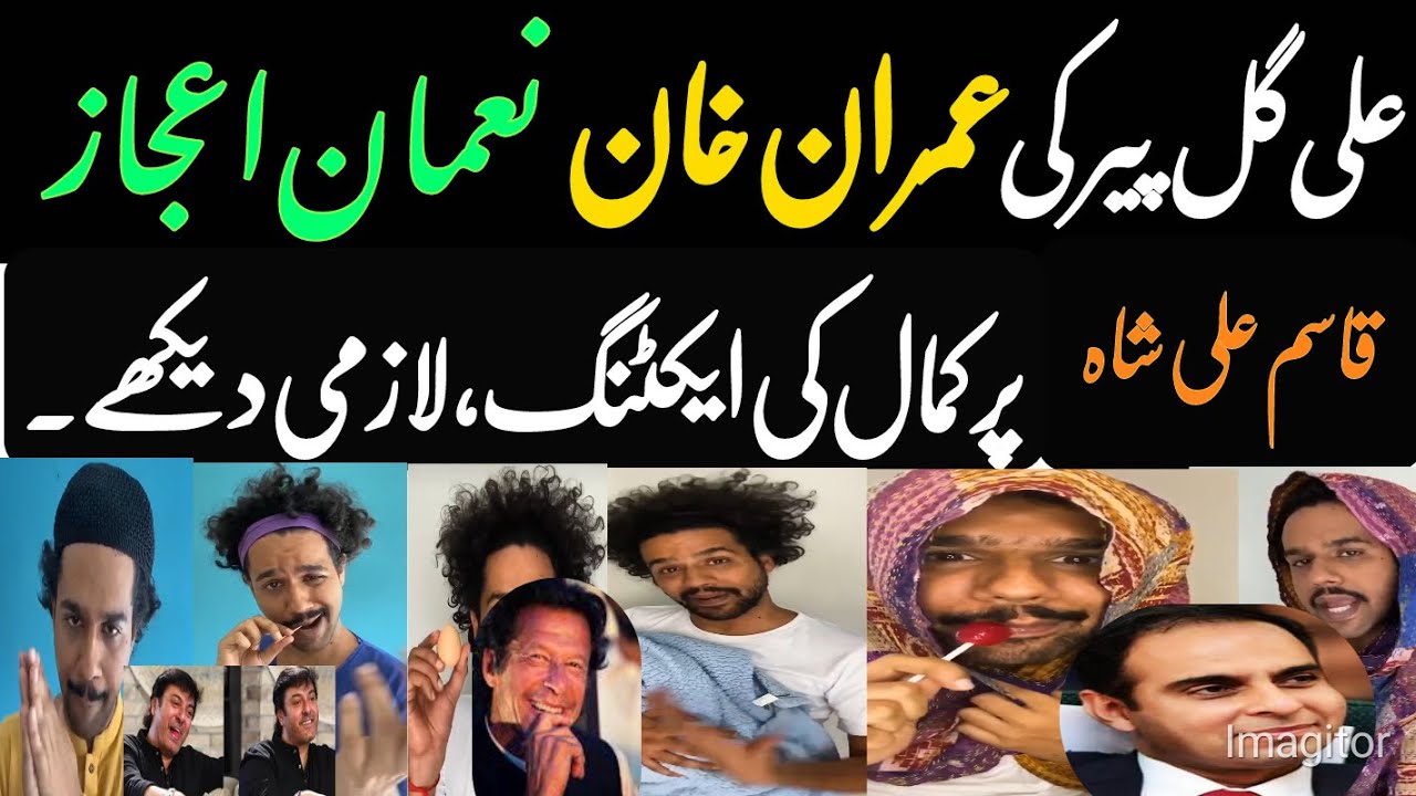 Ali Gul Pir On Noman Ijaz, Imarn Khan,Qasim Ali Shah and many More||Ali Gul Pir Funny ||New Ideas||