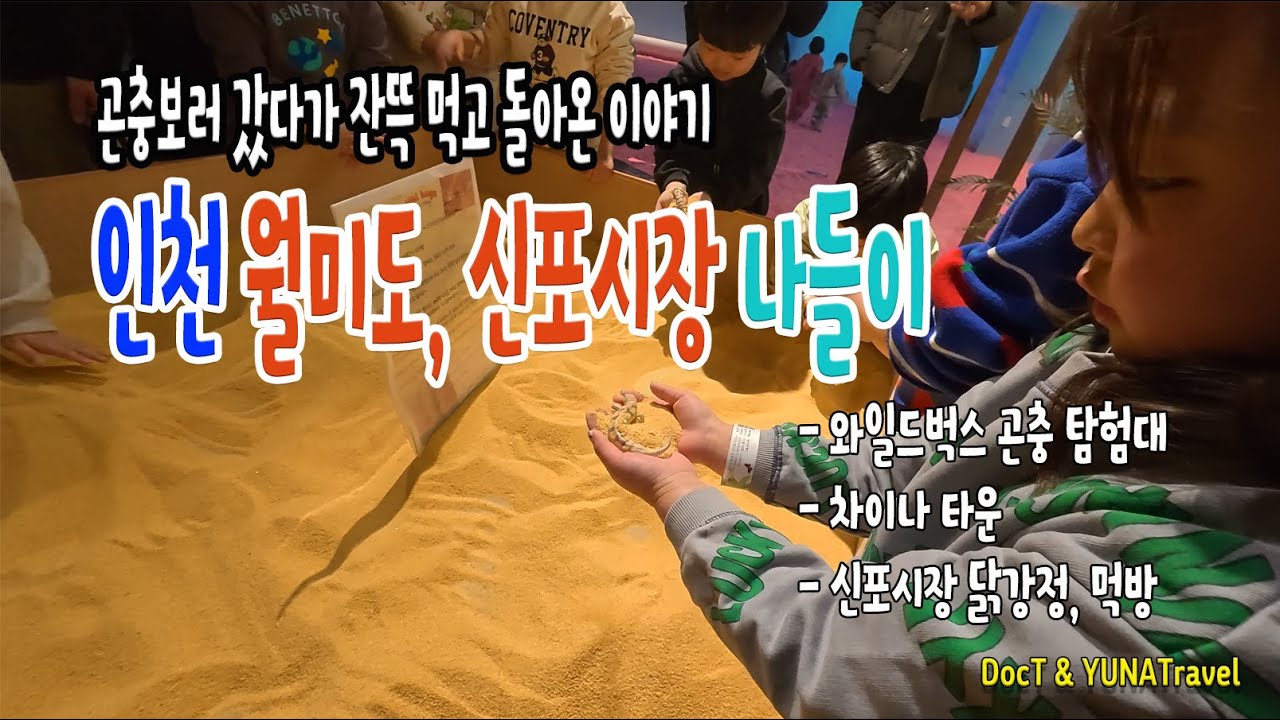 곤충 보러 갔다가 잔뜩 먹고 돌아온 월미도, 신포시장 나들이