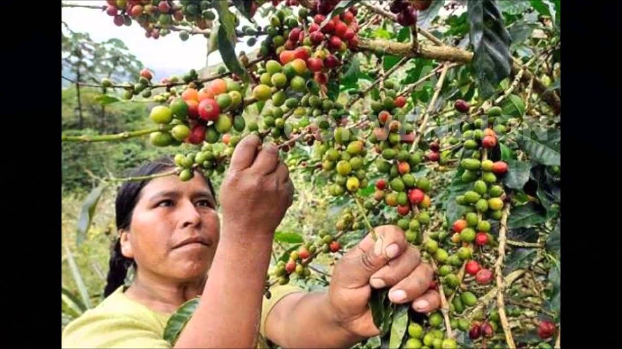 Mix de huaynos de Cusco y sus 13 provincias - Los Hermanos Vera