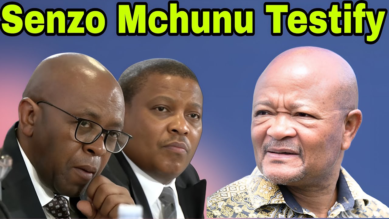 Senzo Mchunu Testifies at Madlanga Commission of Inquiry