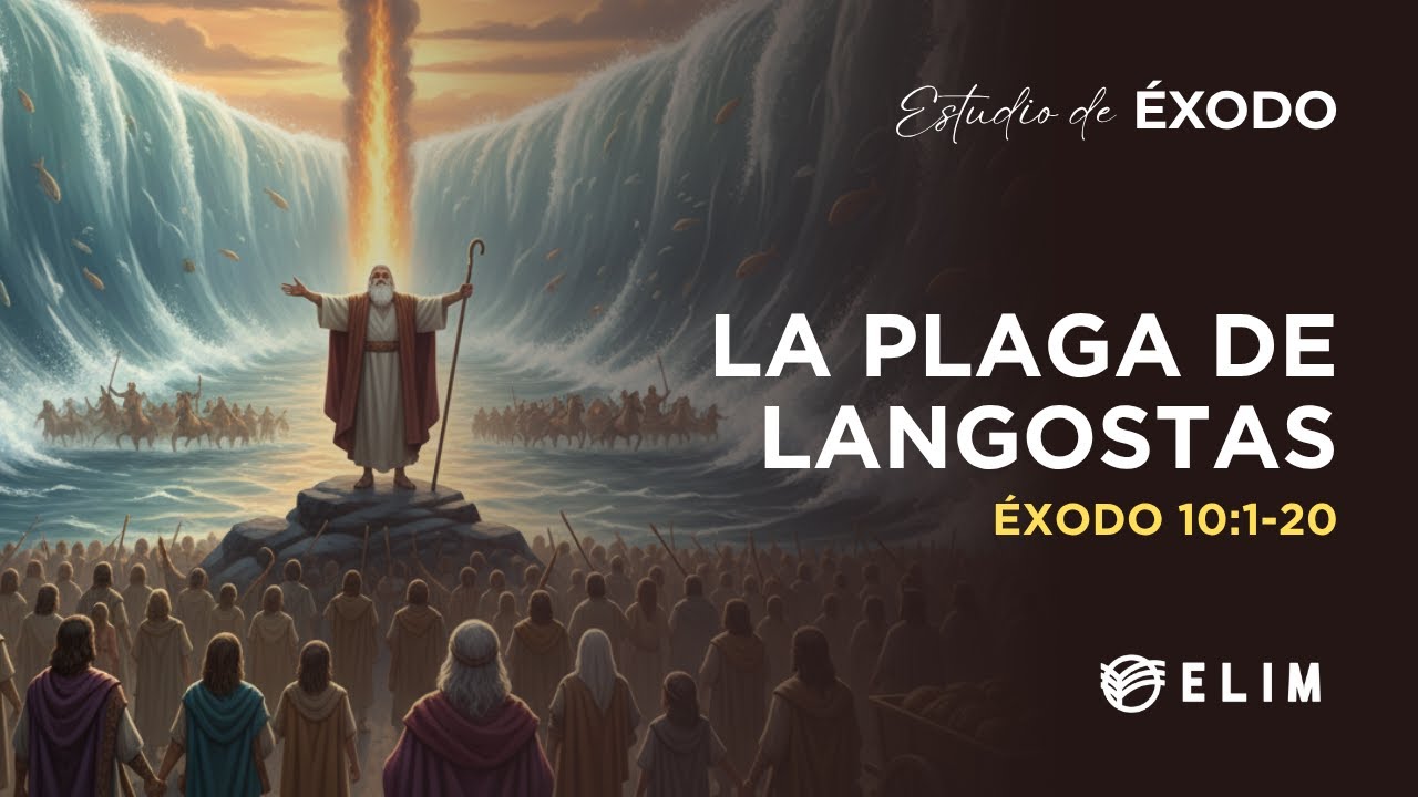 La plaga de las langostas | Éxodo 10:1-20 | Estudio Bíblico