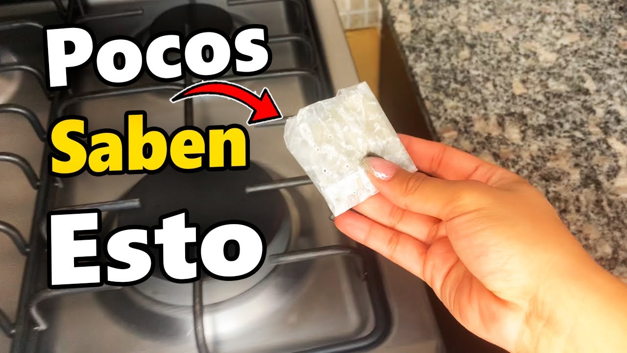 Deshazte de las CUCARACHAS, MOSCAS y HORMIGAS