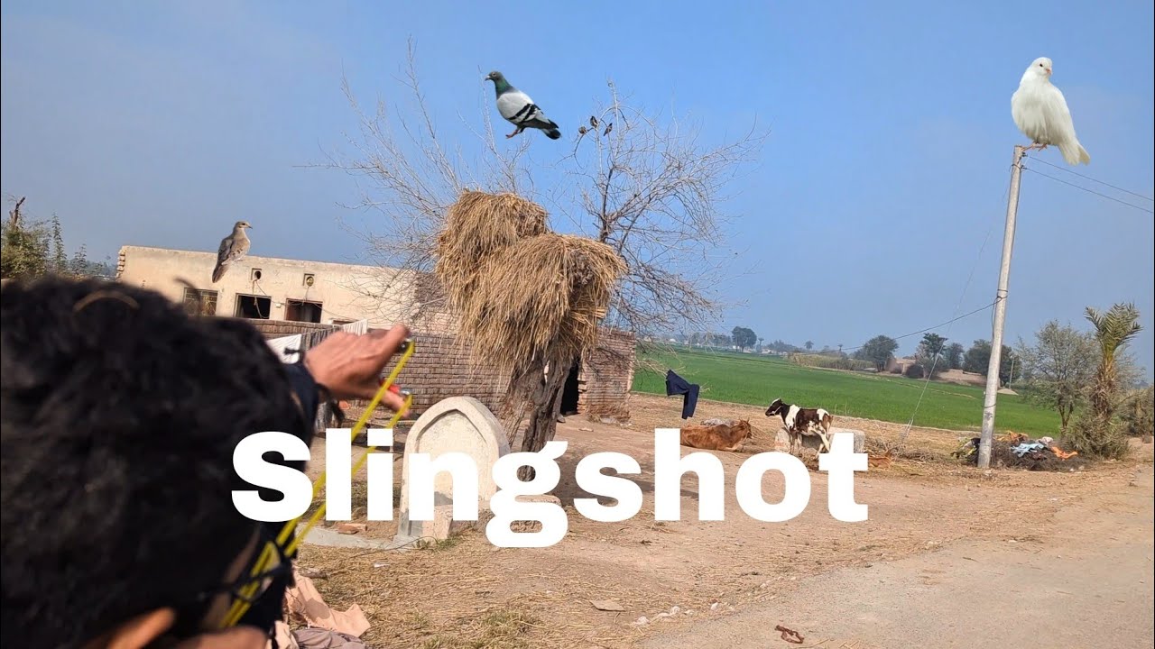 SLINGSHOT HUNTER ☠️ 