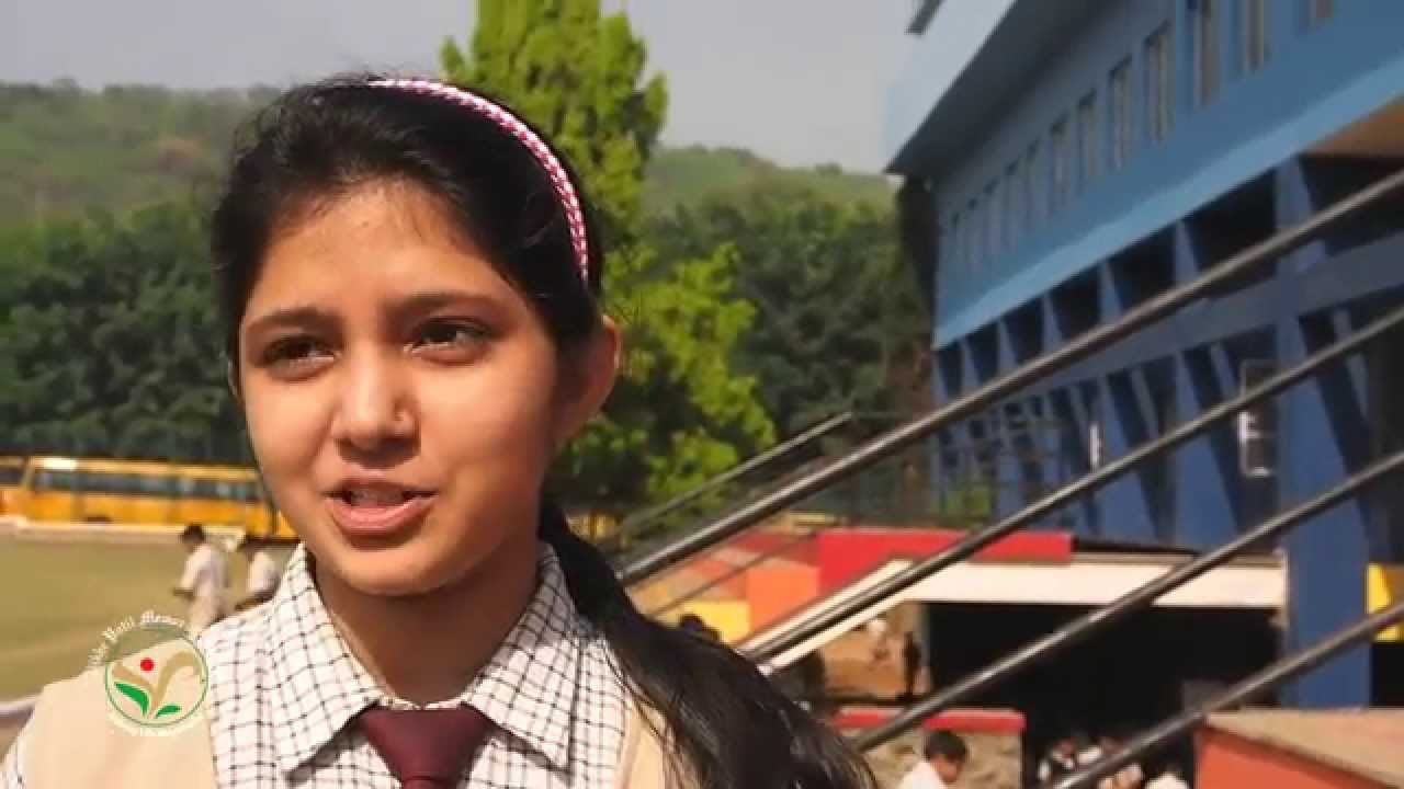Vikhe Patil Memorial School